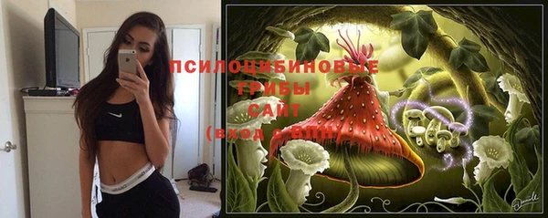 MESCALINE Белокуриха