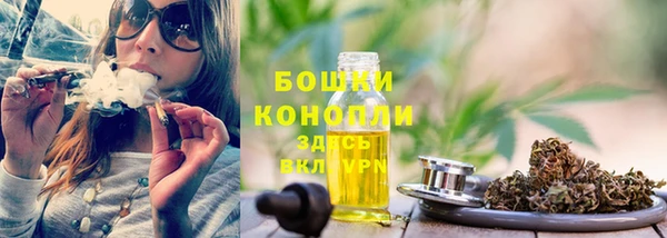 apvp Семёнов